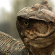 Illustration for article titled iJurassic World/i Ends Pixars Box Office Winning Streak